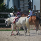 IMG_2207 (Large)