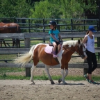 IMG_2223 (Large)
